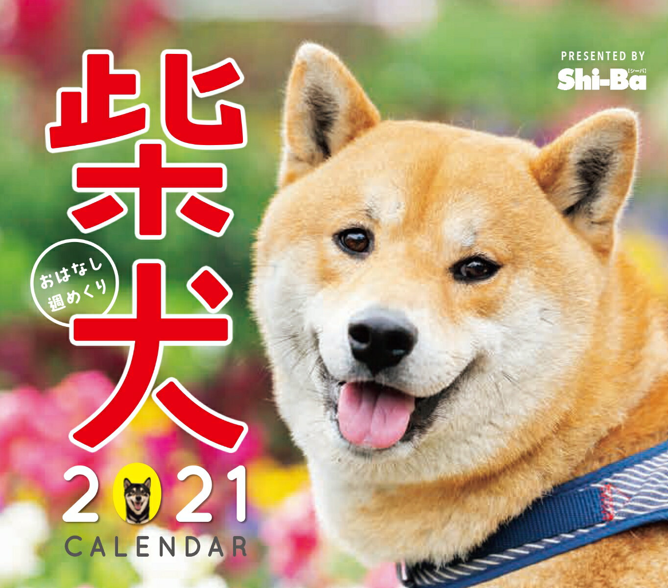 柴犬おはなし週めくり2021CALENAR