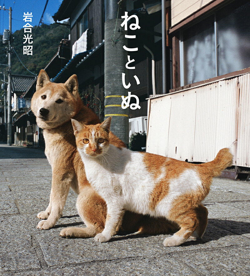 ねこといぬ [ 岩合光昭 ]