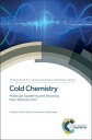 Cold Chemistry: Molecular Scattering and Reactivity Near Absolute Zero COLD CHEMISTRY （Theoretical and Computational Chemistry） 