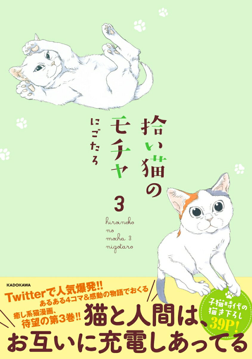 拾い猫のモチャ3