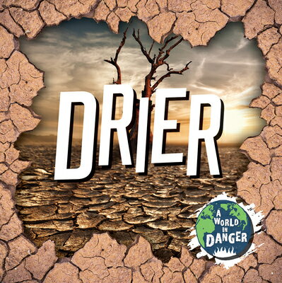 Drier DRIER A World in Danger [ Brenda McHale ]