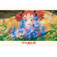 300-1198 メアリと魔女の花 夜間飛行との出会いの画像