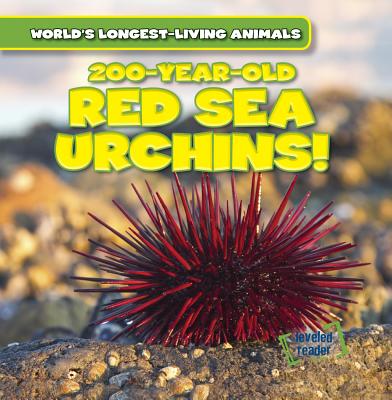 200-Year-Old Red Sea Urchins! 200-YEAR-OLD RED SEA URCHINS （World's Longest-Living Animals） 