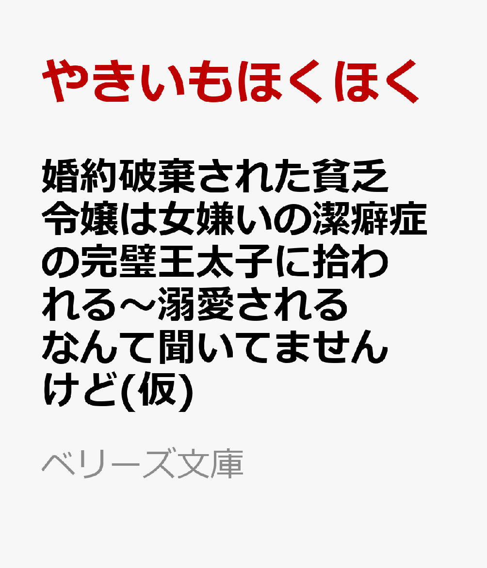 婚約破棄された貧乏令嬢は女嫌いの潔癖症の完璧王太子に拾われる〜溺愛されるなんて聞いてませんけど(仮)