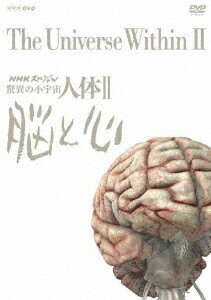 NHKスペシャル 驚異の小宇宙 人体2 脳と心 DVD-BOX