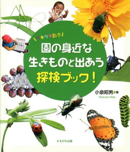 園の身近な生きものと出あう探検ブック！ ウキウキ散歩 [ 小泉昭男 ]