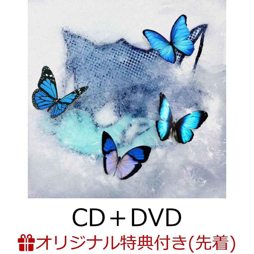 【楽天ブックス限定先着特典】Frozen Butterfly CD＋DVD アクリルキーホルダー 全1種 [ WOLF HOWL HARMONY from EXILE TRIBE ]