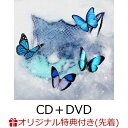 【楽天ブックス限定先着特典】Frozen Butterfly (CD＋DVD)(アクリルキーホルダー (全1種)) WOLF HOWL HARMONY from EXILE TRIBE