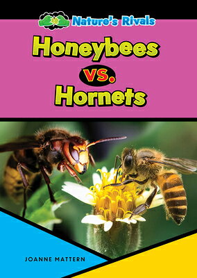 Honeybee vs. Hornet HONEYBEE VS HORNET （Nature's Rivals） 