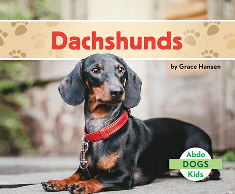 Dachshunds DACHSHUNDS （Dogs Set 3） 