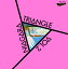 【特典】NIAGARA TRIANGLE Vol.2 40th Anniversary Edition(ナイアガラレコード・ロゴステッカー(サイズ：W91x55mm))