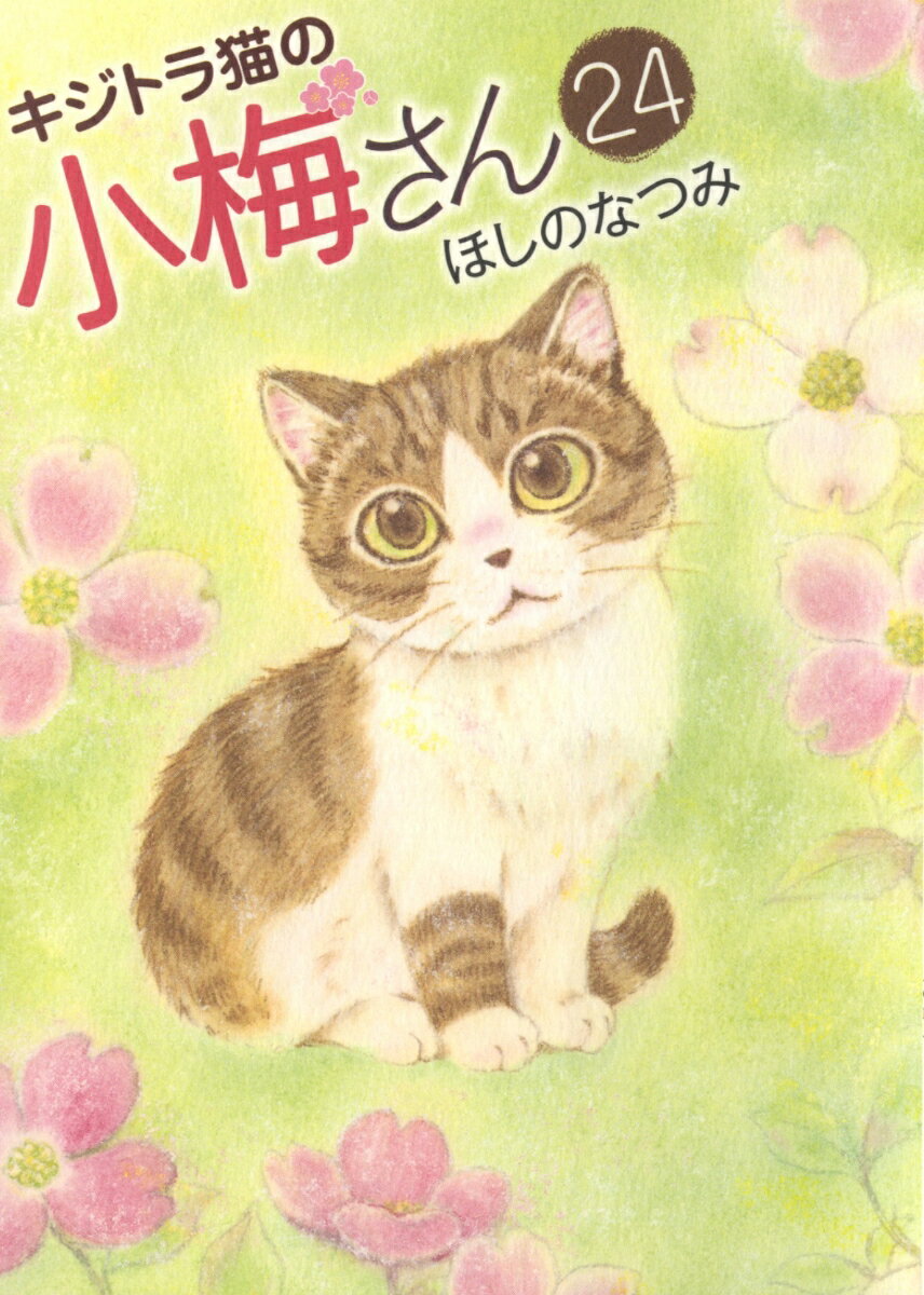 楽天市場】キジトラ猫小梅さん全巻の通販 楽天市場】キジトラ猫小梅さん全巻の通販