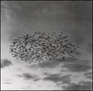 【輸入盤】Reflections