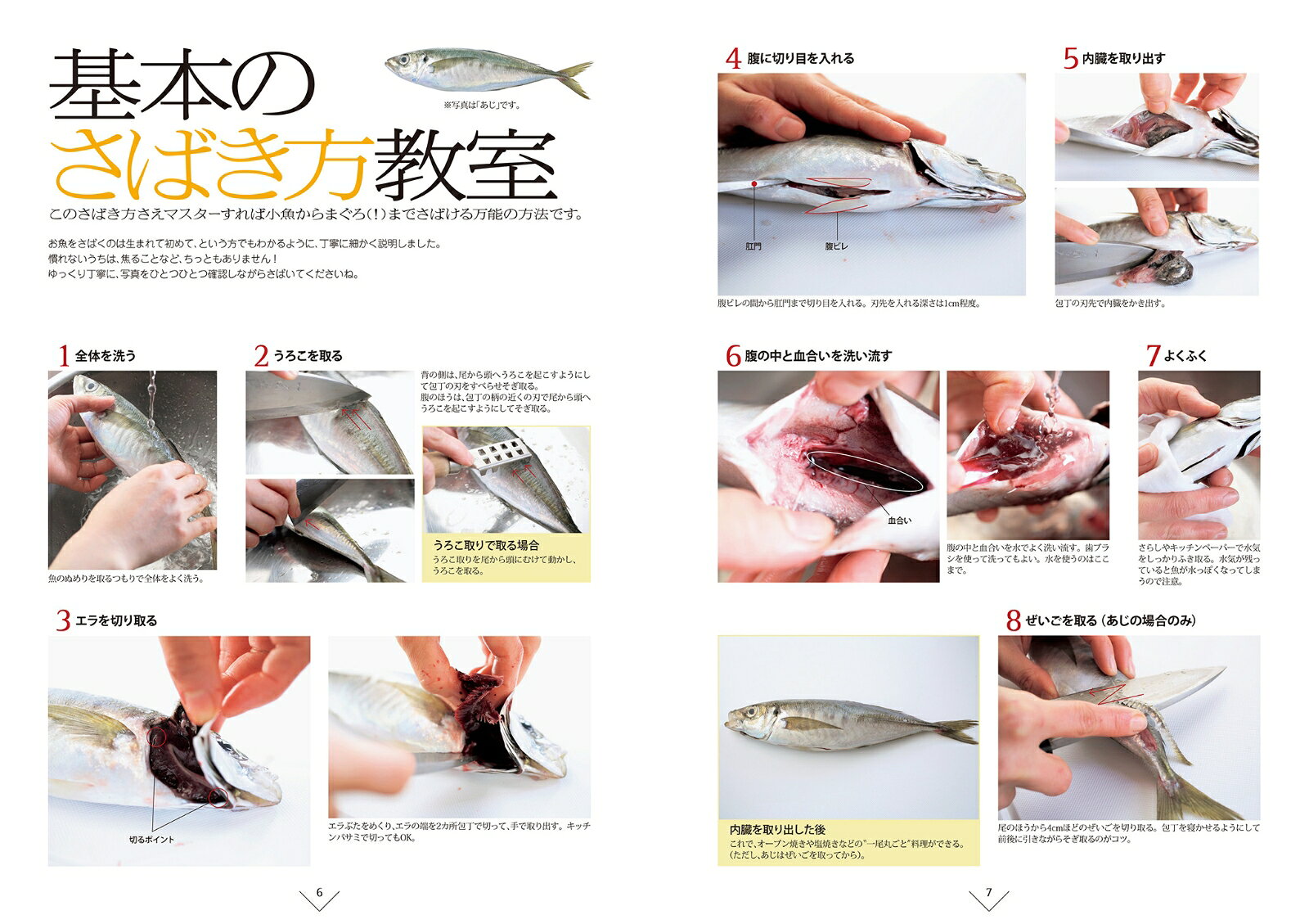 魚を一尾、さばけたら！？　濱田美里のお魚教室 [ 濱田 美里 ]