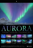 AURORA YASUSHI TANIKADO CALENDAR（2019）