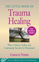 The Little Book of Trauma Healing: Revised & Upd