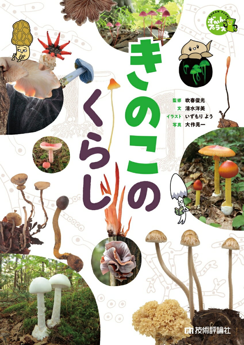 きのこのくらし