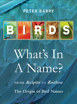 Birds What's in a Name?: From Accipiter to Zoothera the Origin of Bird Names BIRDS WHATS IN A NAME [ Peter Barry ]