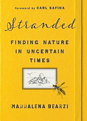 Stranded: Finding Nature in Uncertain Times STRANDED [ Maddalena Bearzi ]
