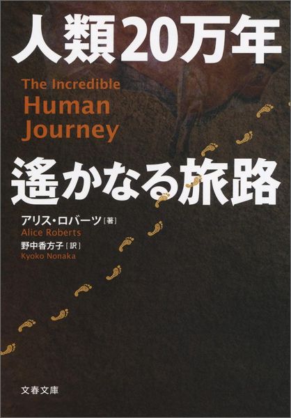 人類20万年 遙かなる旅路