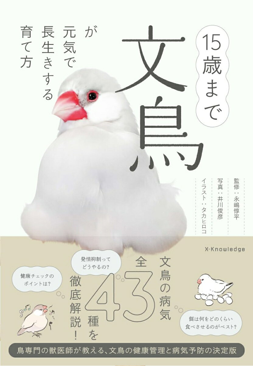 製品画像：30位