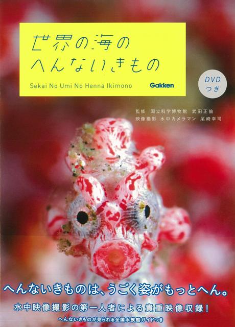 【バーゲン本】世界の海のへんないきもの　DVDつき