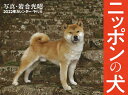 2022年カレンダー ニッポンの犬 [ 岩合　光昭 ]