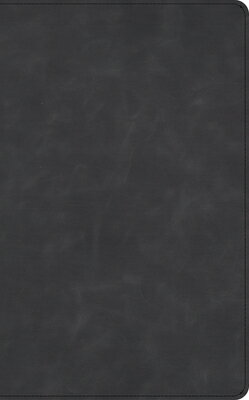 CSB Single-Column Wide-Margin Bible, Holman Handcrafted Collection, Marbled Slate Premium Calfskin CSB SINGLE-COLUMN WIDE-MARGIN （Holman Handcrafted Collection） [ Csb Bibles by Holman ]