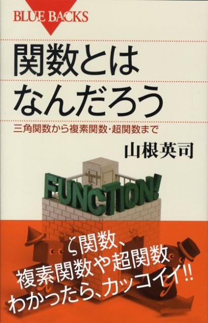 関数とはなんだろう （ブルーバックス） [ 山根 英司 ]