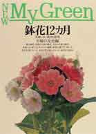鉢花12カ月 （New　my　green） [ 主婦の友社 ]