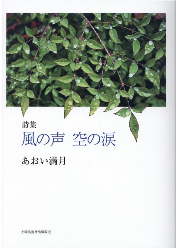 風の声空の涙