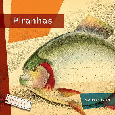 Piranhas PIRANHAS （Living Wild） 