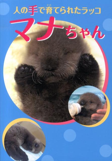 人の手で育てられたラッコマナちゃん