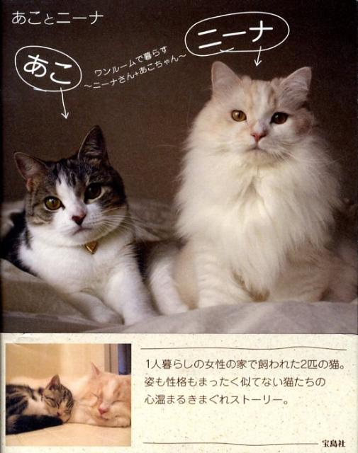 あことニーナ ワンルームで暮らす～ニーナさん＋あこちゃん～ [ ワカ ]