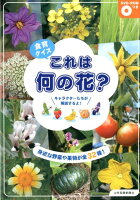 食育クイズこれは何の花？