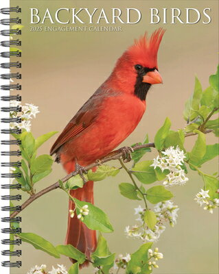Backyard Birds 2025 6.5 X 8.5 Engagement Calendar BACKYARD BIRDS 2025 65 X 85 EN [ Willow Creek Press ]