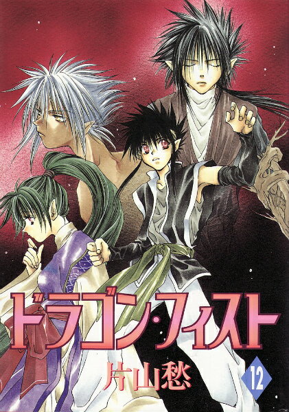 ドラゴン・フィスト（12）