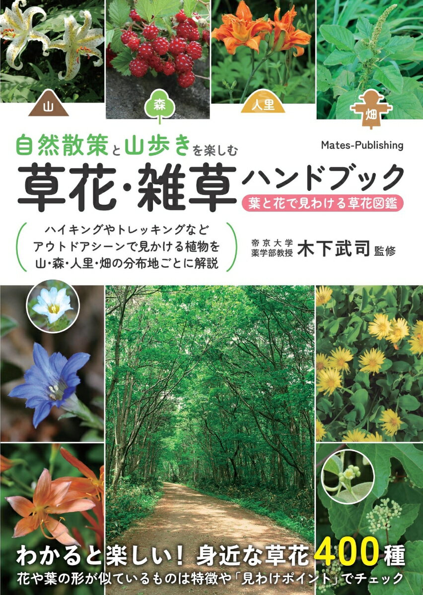 自然散策と山歩きを楽しむ 草花・雑草ハンドブック 葉と花で見わける草花図鑑 [ 木下 武司 ] 1