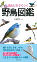 見わけがすぐつく 野鳥図鑑 小宮 輝之