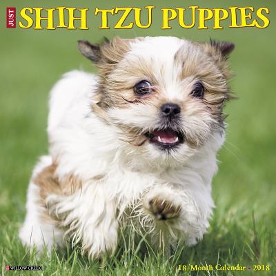 Just Shih Tzu Puppies 2018 Wall Calendar (Dog Breed Calendar) CAL 2018-JUST SHIH TZU PUPPIES [ Willow Creek Press ]
