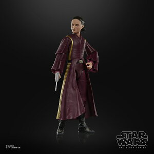 スター・ウォーズ STAR WARS ブラックシリーズ パドメ・アミダラ, スター・ウォーズ：ファントム・メナス コレクション用 15 cm（6 インチ）アクションフィギュア, 対象年齢 4 才以上 G0025 正規品