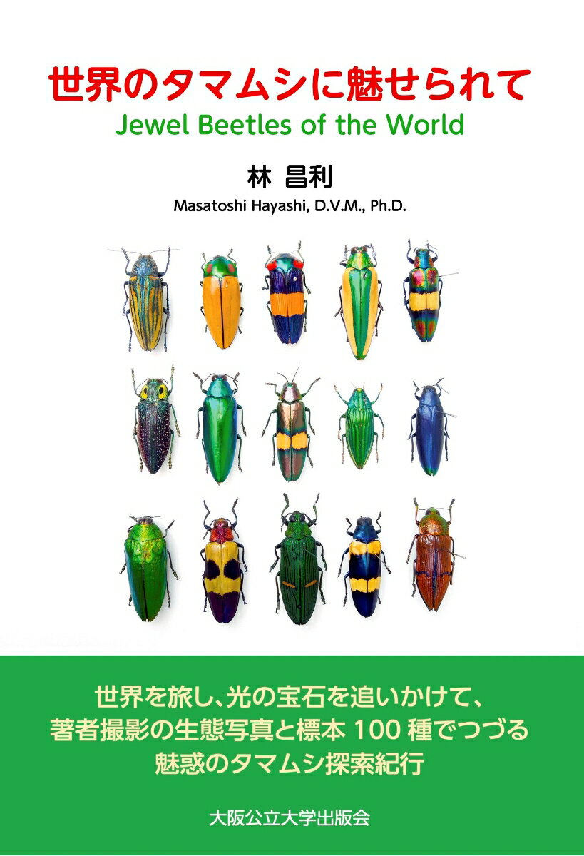 世界のタマムシに魅せられて