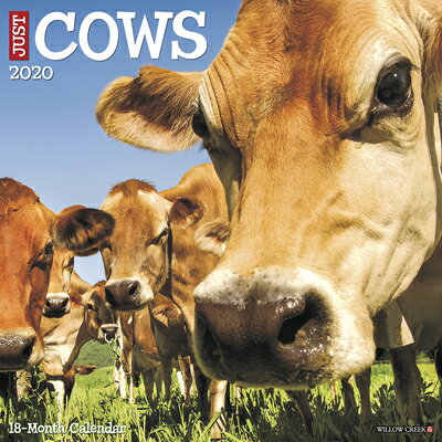 Just Cows 2020 Wall Calendar JUST COWS 2020 WALL CAL [ Willow Creek Press ]