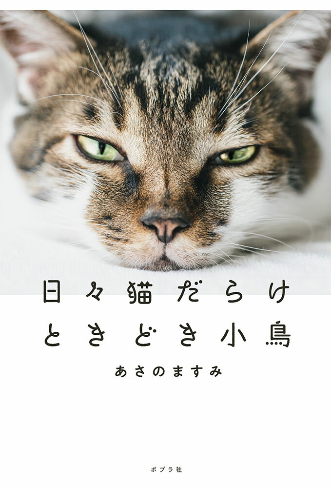 もしや最悪の組み合わせ！？猫４匹＆鳥２羽との賑やかな日々。