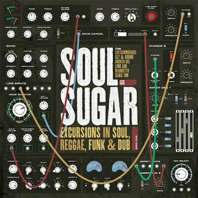 【輸入盤】Excursions In Soul, Reggae, Funk & Dub