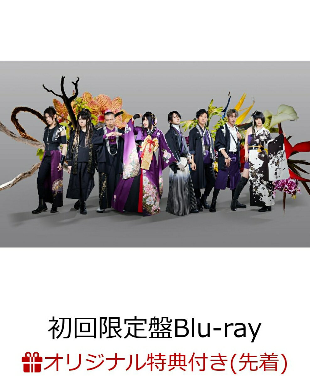 【楽天ブックス限定先着特典】和楽器バンドJapan Tour 2024 THANKS 〜八奏ノ音〜(初回限定盤 BLU-RAY+DVD+2CD+α)【Blu-ray】(A4クリアファイル(絵柄C))