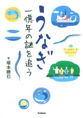 うなぎ一億年の謎を追う （科学ノンフィクション） [ 塚本勝巳 ]