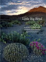 Little Big Bend: Common, Uncommon, and Rare Plants of Big Bend National Park LITTLE BIG BEND （Grover E. Murray Studies in the American Southwest） Roy Morey