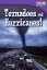 Tornadoes and Hurricanes! TORNADOES &HURRICANES 2/E Time for Kids(r) Informational Text [ Cy Armour ]