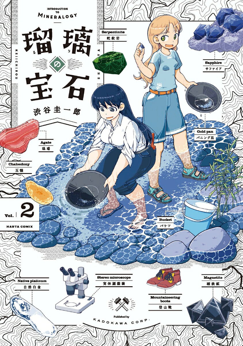 瑠璃の宝石 2 （ハルタコミックス） [ 渋谷　圭一郎 ]